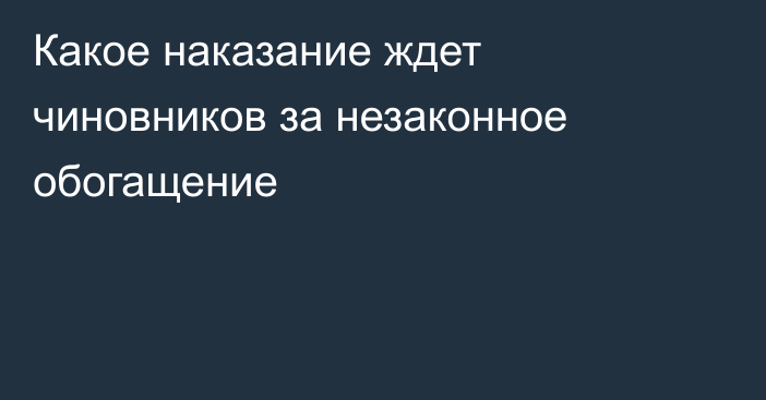 Какое наказание ждет чиновников за незаконное обогащение