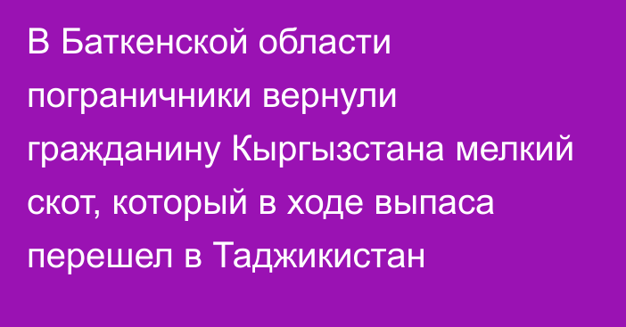 В Баткенской области пограничники вернули гражданину Кыргызстана мелкий скот, который в ходе выпаса  перешел в Таджикистан