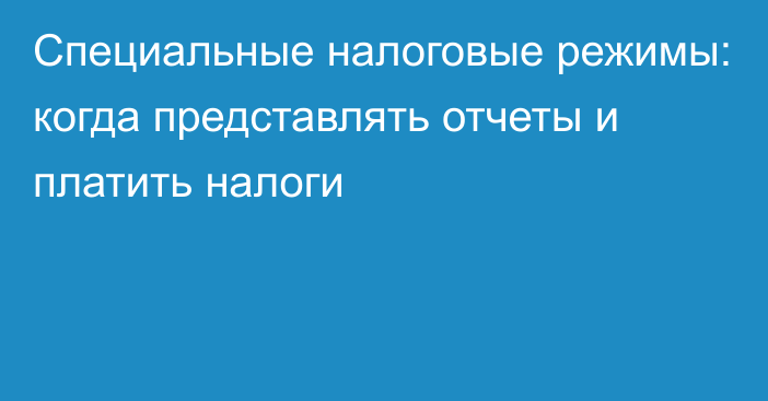 Специальные налоговые режимы: когда представлять отчеты и платить налоги