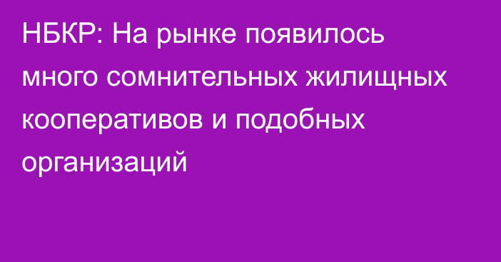 НБКР: На рынке появилось много сомнительных жилищных кооперативов и подобных организаций