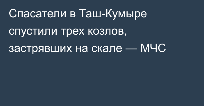 Спасатели в Таш-Кумыре спустили трех козлов, застрявших на скале — МЧС