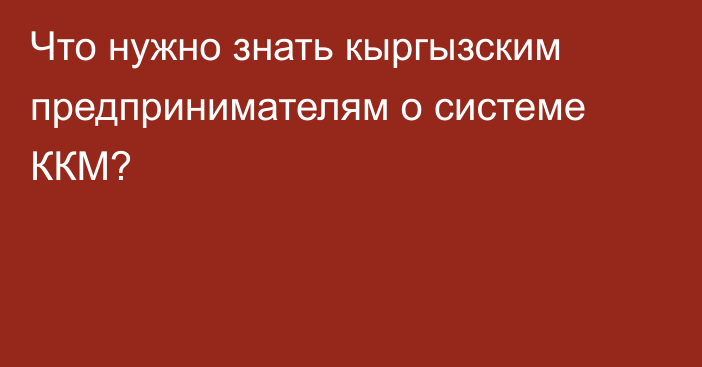 Что нужно знать кыргызским предпринимателям о системе ККМ?