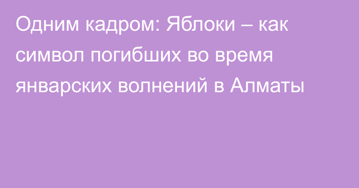 Одним кадром: Яблоки – как символ погибших во время январских волнений в Алматы