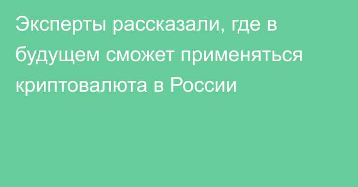 Эксперты рассказали, где в будущем сможет применяться криптовалюта в России