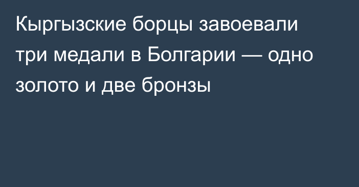 Кыргызские борцы завоевали три медали в Болгарии — одно золото и две бронзы