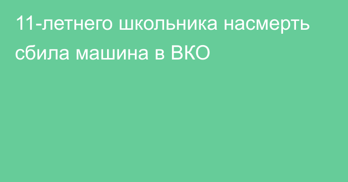 11-летнего школьника насмерть сбила машина в ВКО