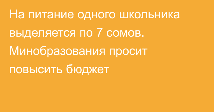 На питание одного школьника выделяется по 7 сомов. Минобразования просит повысить бюджет