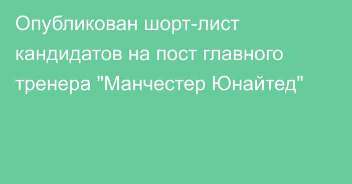 Опубликован шорт-лист кандидатов на пост главного тренера 