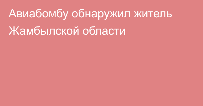 Авиабомбу обнаружил житель Жамбылской области