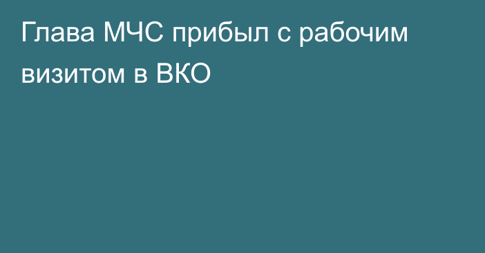 Глава МЧС прибыл с рабочим визитом в ВКО