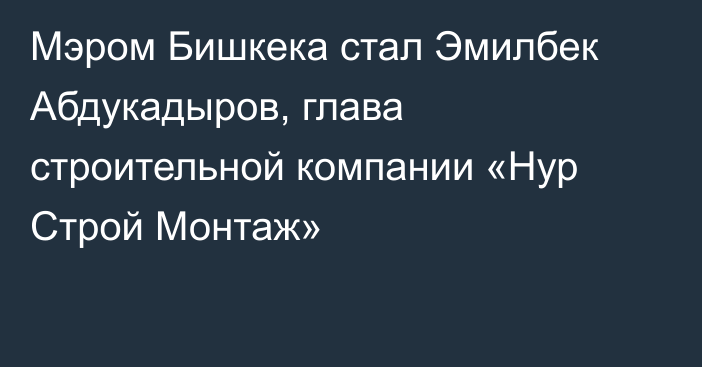 Мэром Бишкека стал Эмилбек Абдукадыров, глава строительной компании «Нур Строй Монтаж»