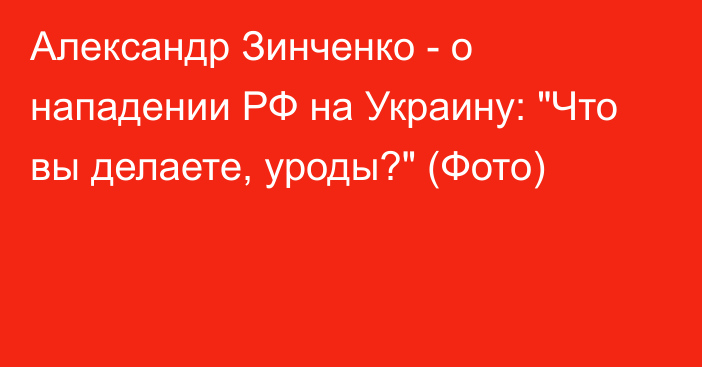 Александр Зинченко - о нападении РФ на Украину: 