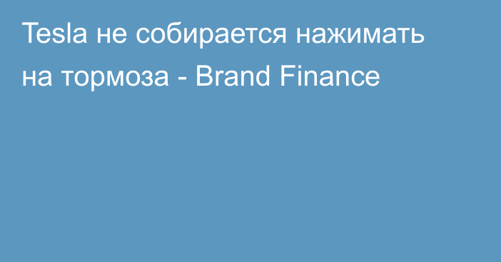 Tesla не собирается нажимать на тормоза - Brand Finance