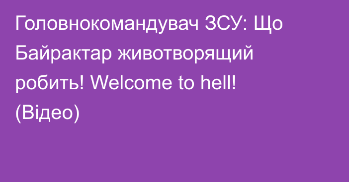 Головнокомандувач ЗСУ: Що Байрактар животворящий робить! Welcome to hell! (Відео)