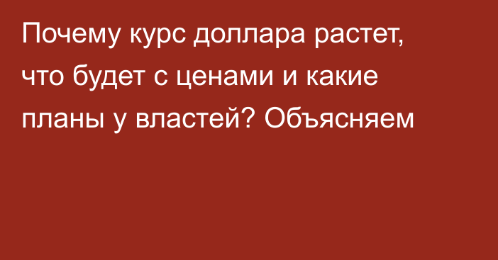 Почему курс доллара растет, что будет с ценами и какие планы у властей? Объясняем