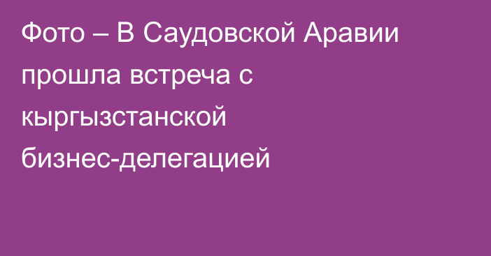 Фото – В Саудовской Аравии прошла встреча с кыргызстанской бизнес-делегацией