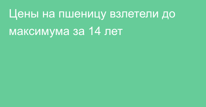 Цены на пшеницу взлетели до максимума за 14 лет