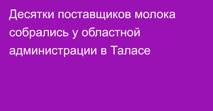 Десятки поставщиков молока собрались у областной администрации в Таласе