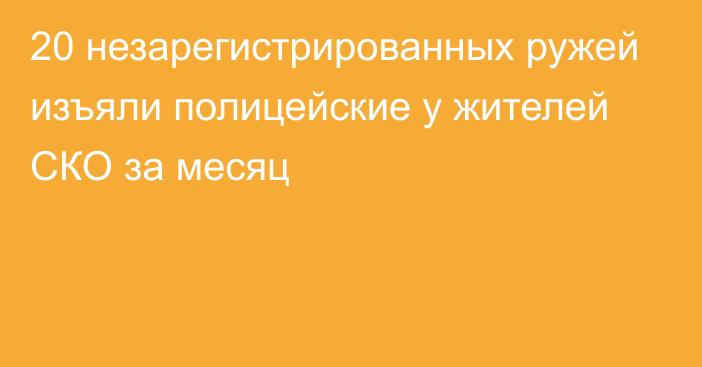 20 незарегистрированных ружей изъяли полицейские у жителей СКО за месяц