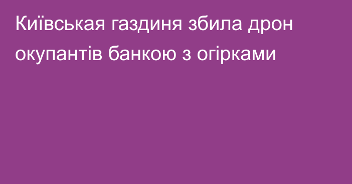 Київськая газдиня збила дрон окупантів банкою з огірками