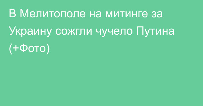 В Мелитополе на митинге за Украину сожгли чучело Путина (+Фото)