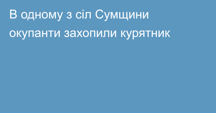 В одному з сіл Сумщини окупанти захопили курятник