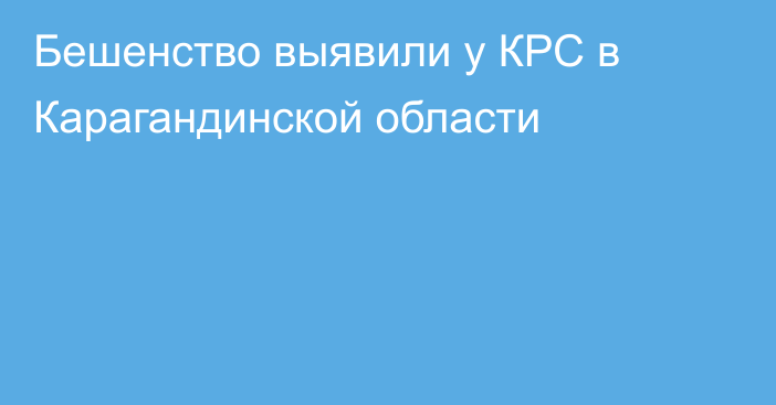 Бешенство выявили у КРС в Карагандинской области