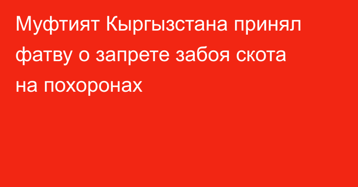 Муфтият Кыргызстана принял фатву о запрете забоя скота на похоронах