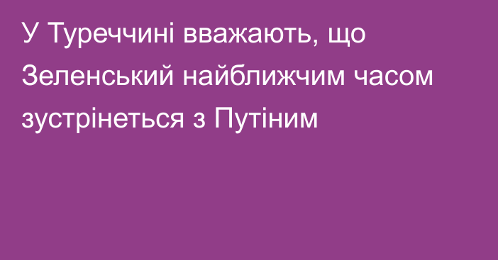 У Туреччині вважають, що Зеленський найближчим часом зустрінеться з Путіним