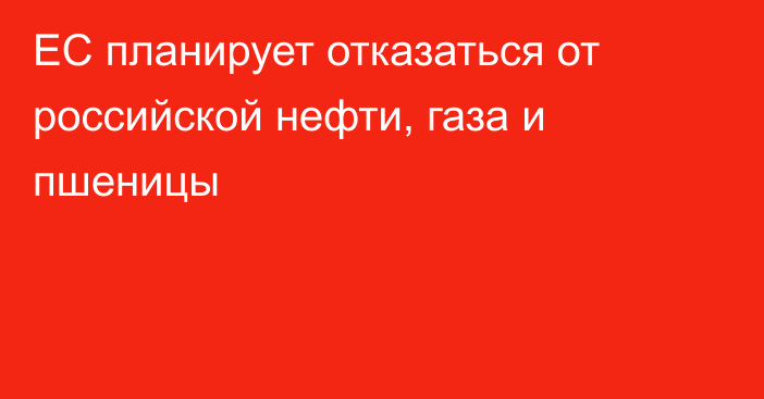 ЕС планирует отказаться от российской нефти, газа и пшеницы