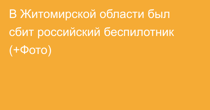 В Житомирской области был сбит российский беспилотник (+Фото)