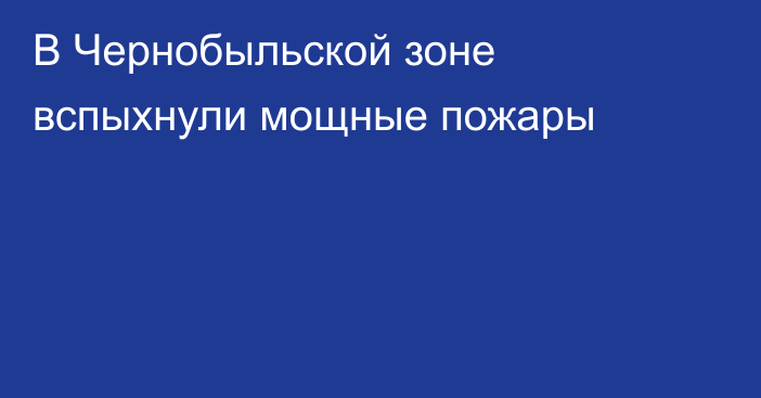 В Чернобыльской зоне вспыхнули мощные пожары