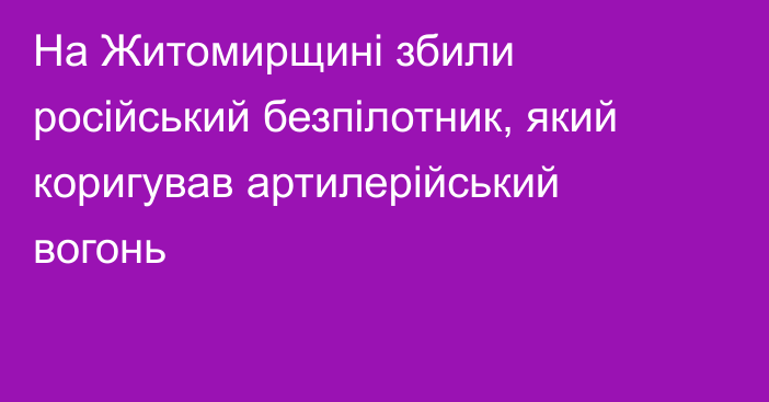 На Житомирщині збили російський безпілотник, який коригував артилерійський вогонь