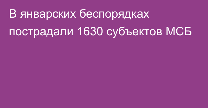 В январских беспорядках пострадали 1630 субъектов МСБ