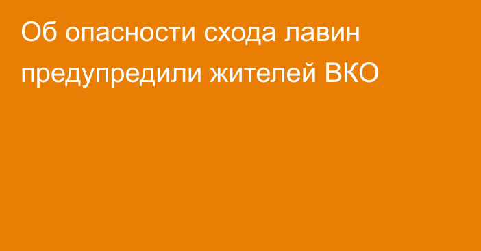 Об опасности схода лавин предупредили жителей ВКО