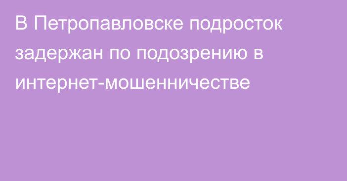 В Петропавловске подросток задержан по подозрению в интернет-мошенничестве