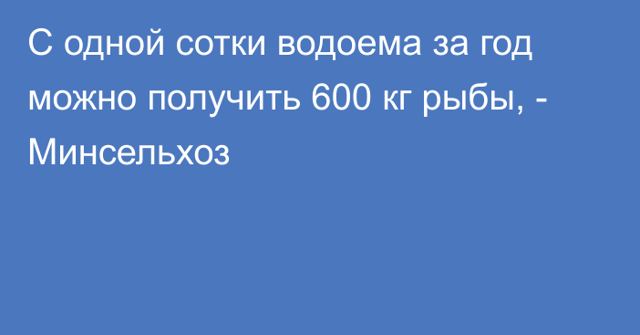 С одной сотки водоема за год можно получить 600 кг рыбы, - Минсельхоз