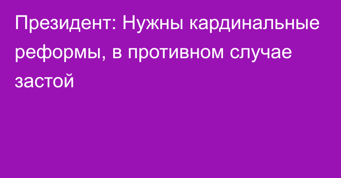 Президент: Нужны кардинальные реформы, в противном случае застой