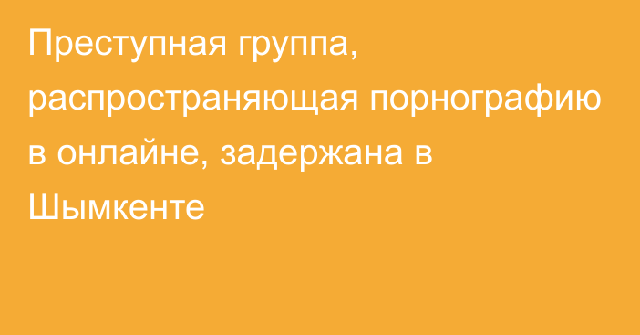 Преступная группа, распространяющая порнографию в онлайне, задержана в Шымкенте