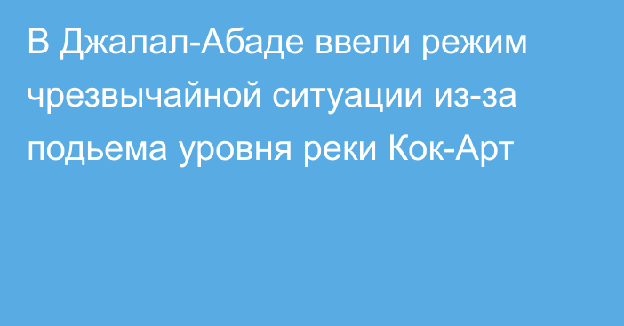 В Джалал-Абаде ввели режим чрезвычайной ситуации из-за подьема уровня реки Кок-Арт