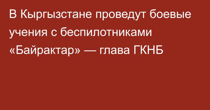 В Кыргызстане проведут боевые учения с беспилотниками «Байрактар» — глава ГКНБ