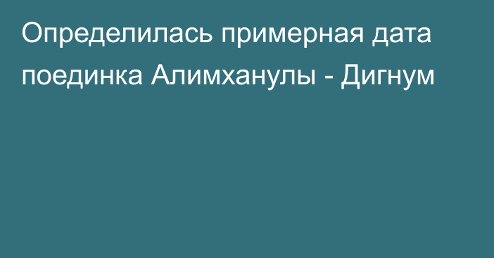 Определилась примерная дата поединка Алимханулы - Дигнум