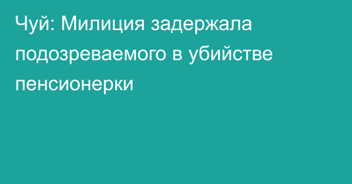 Чуй: Милиция задержала подозреваемого в убийстве пенсионерки