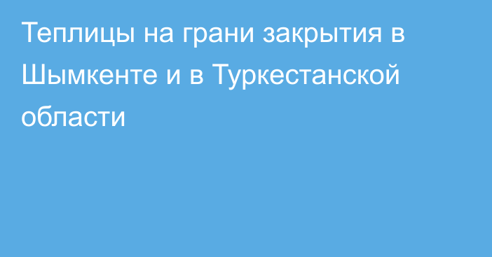 Теплицы на грани закрытия в Шымкенте и в Туркестанской области