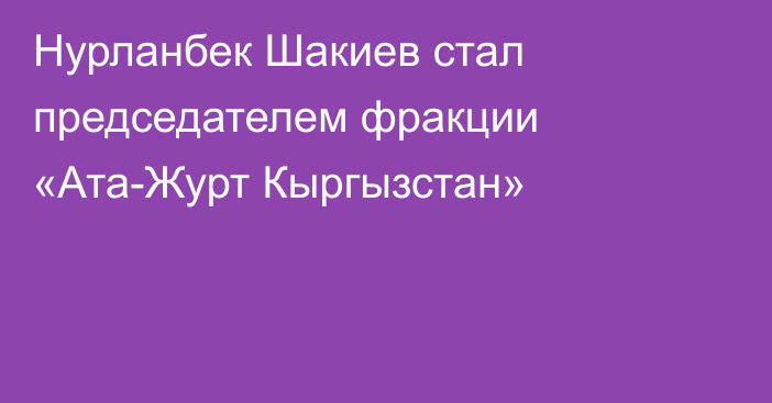 Нурланбек Шакиев стал председателем фракции «Ата-Журт Кыргызстан»