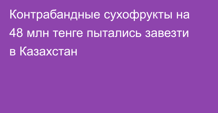 Контрабандные сухофрукты на 48 млн тенге пытались завезти в Казахстан