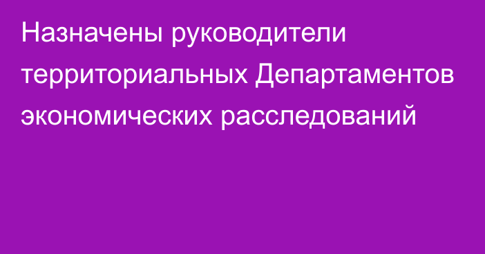 Назначены руководители территориальных Департаментов экономических расследований