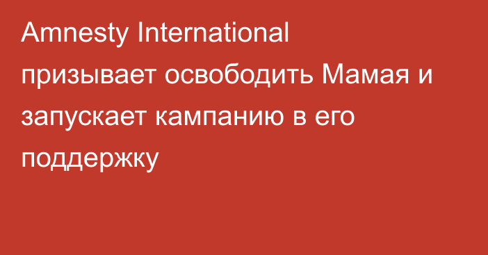 Amnesty International призывает освободить Мамая и запускает кампанию в его поддержку