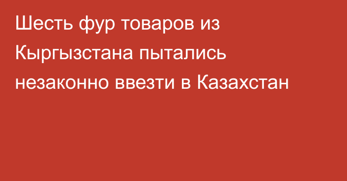 Шесть фур товаров из Кыргызстана пытались незаконно ввезти в Казахстан