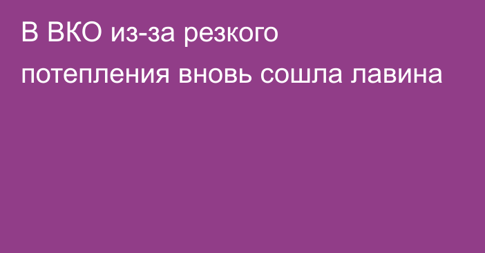 В ВКО из-за резкого потепления вновь сошла лавина